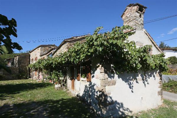Vila Istrian Experience Socerga Exteriér fotografie